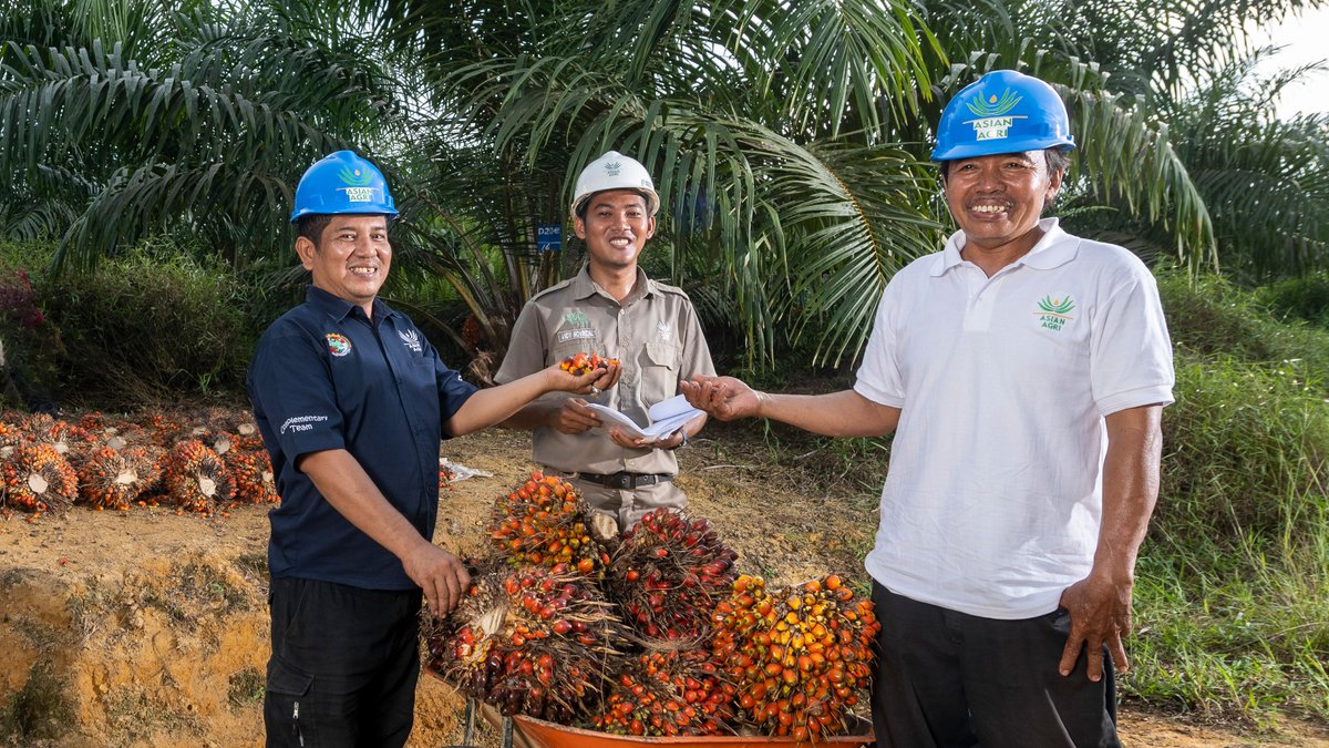Asian Agri tweet media