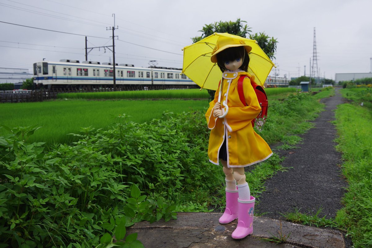 アリス
５０ｃｍ　１／３　（アゾカツ