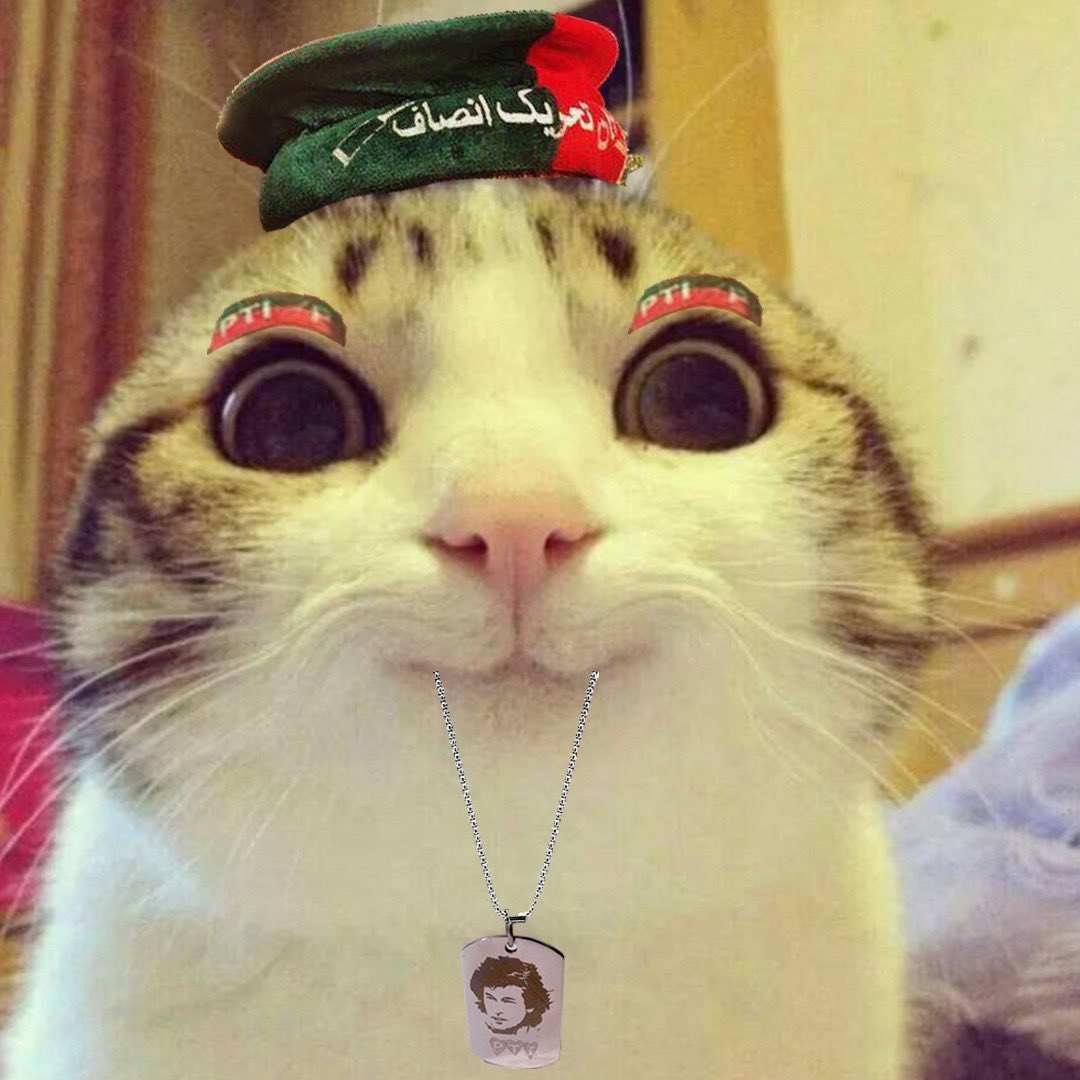 Rawalpindi, 15 July 2024: Pakistan Armed Forces welcome the decision of Government of Pakistan to ban Political Party responsible for high quality memes and successful propaganda campaigns (Page 804, Pakistan Studies book published by Oxford University Press; 1st edition, 2007).