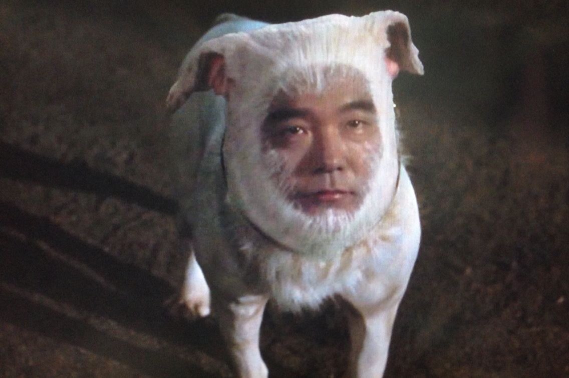 幸運をもたらす伝説の人面犬 幸運をもたらす伝説の人面犬