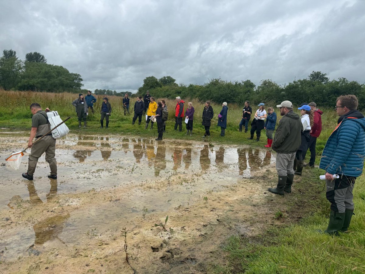 As a national charity, based across England and Wales, it’s vital that we get together from time to time 💚
At our staff away day last week at the <a href="/WaddesdonManor/">Waddesdon</a> we explored habitat we've created with partners. Thank you to the Rothschild Foundation for supporting this event.