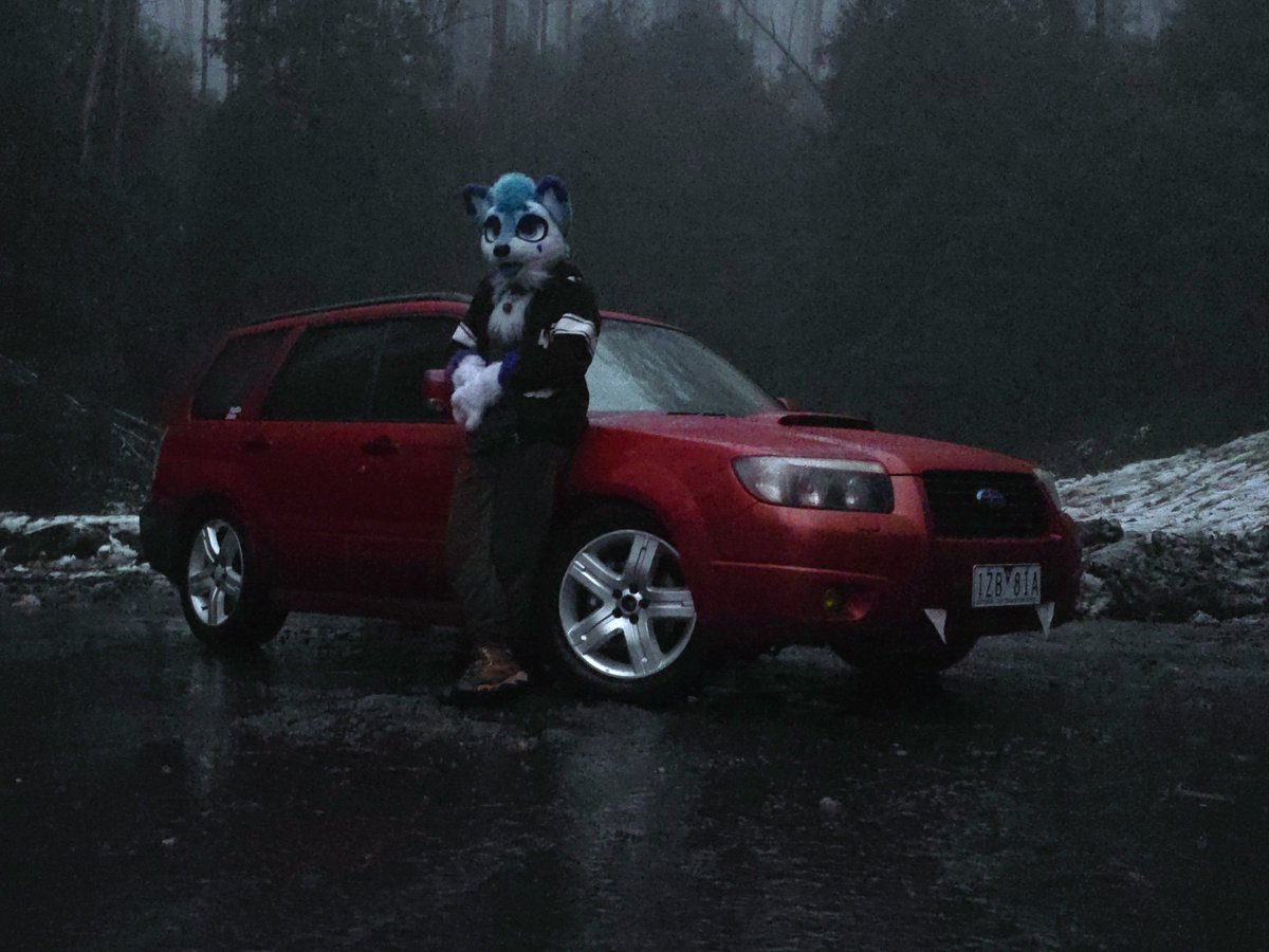 Mikewolf2018 tweet picture