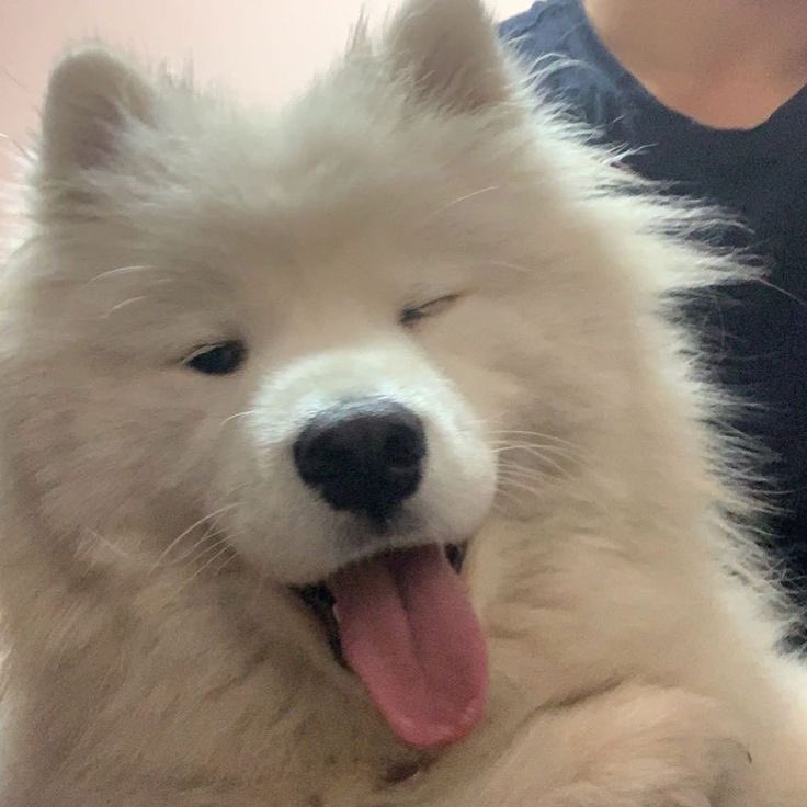 chet_tyu's tweet photo. @ThankU_TYU ผมเท่ใช่มั้ย https://t.co/EYggghTDPm