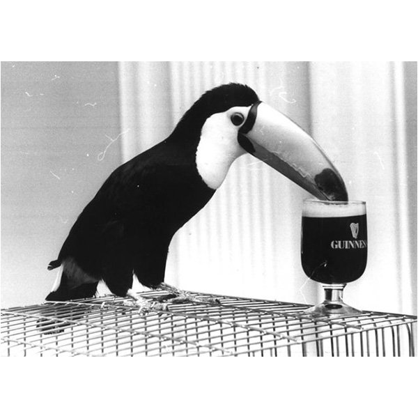 JohnHyphen's tweet image. not even close