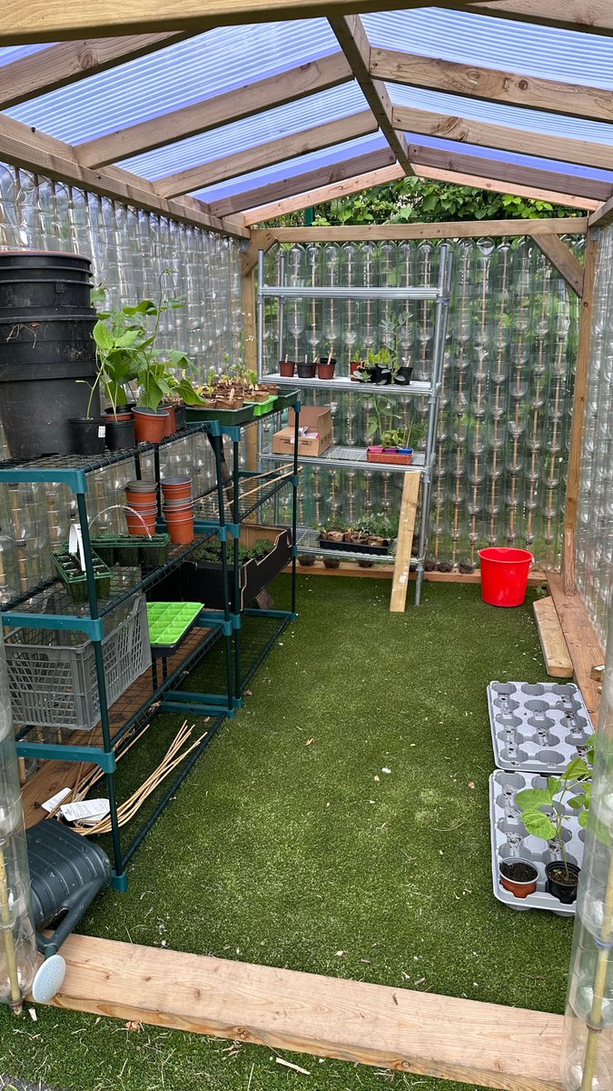 yardleyprimary's tweet photo. Remember us asking for plastic bottle donations?
Well here it is, our recycled greenhouse! ♻️

Our children have already grown tomatoes and green beans - what could be next?

Thank you to everyone who contributed and made this possible 👍 https://t.co/g9a4T3ohNF