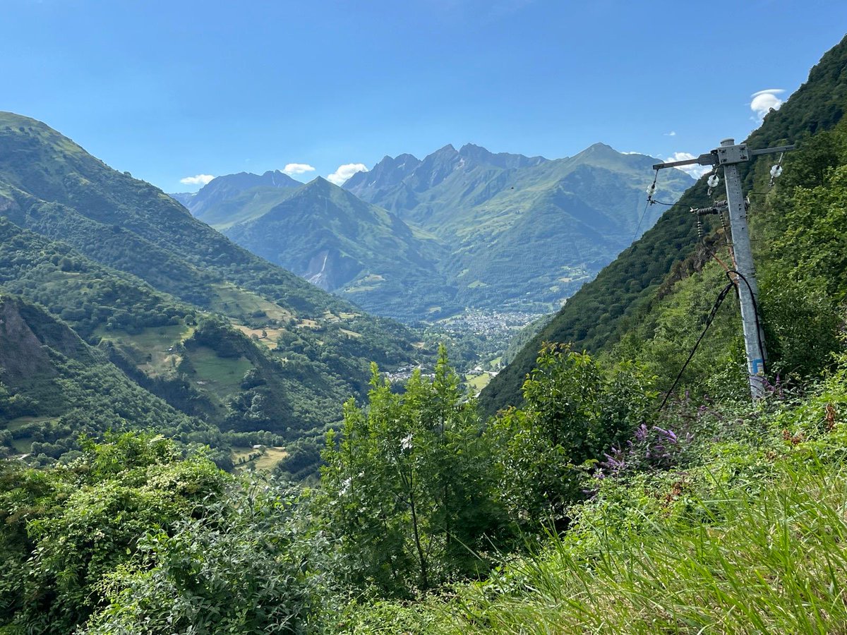 JaviSkimo tweet media