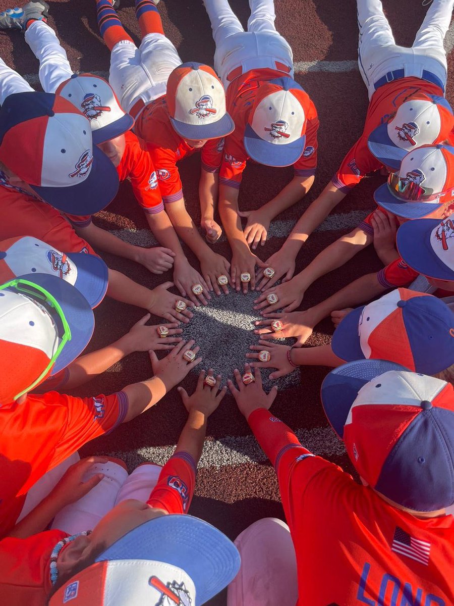 official_hitdog's tweet photo. Huge congratulations to our 9u Hit Dogs Hall team on winning the TBR World Series in Dayton Ohio. Boys were on 🔥Nice job players,coaches,&parents! @baseballcrazy00 @HitDogsAcademy @HitdogsOH2024 @HitDogsIllinois @HitDogsIN2027 @HitDogsWV @HitDogsPA #NoGive #OurBrand https://t.co/OkHRsupqTB