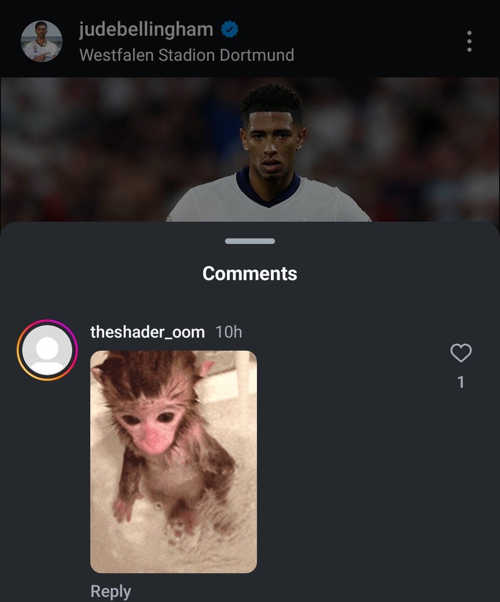 I_amMukhtar's tweet photo. Most England's Black players are getting racially abused on their social media comment section. https://t.co/BwHj7NsX1d