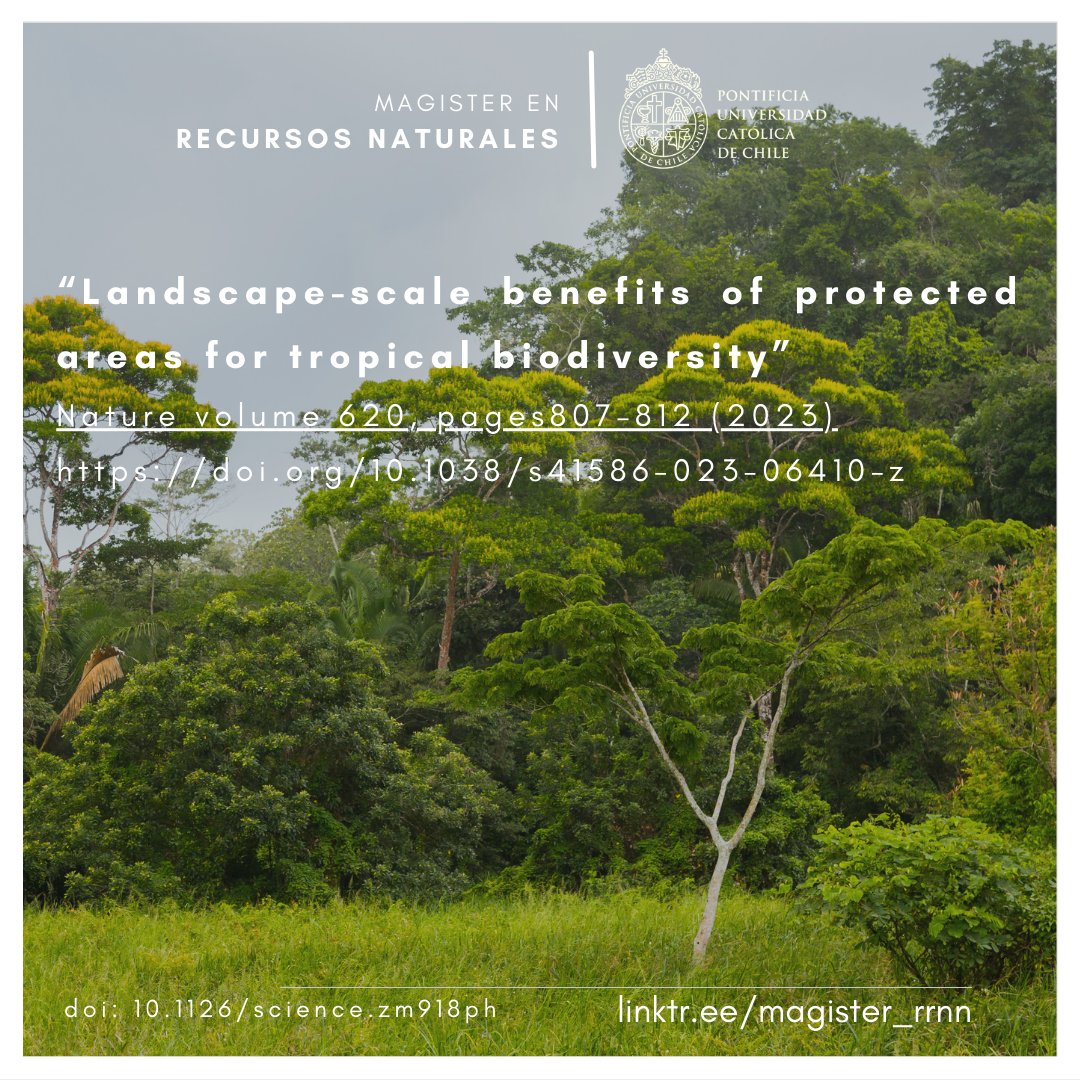 🌿 Las áreas protegidas favorecen la biodiversidad incluso en zonas aledañas. Estudio en Nature señala beneficios de proteger grandes parches conectados para conservación de biodiversidad: +25.4% riqueza de especies, +193.7% diversidad funcional, +23.8% diversidad filogenética 🌍