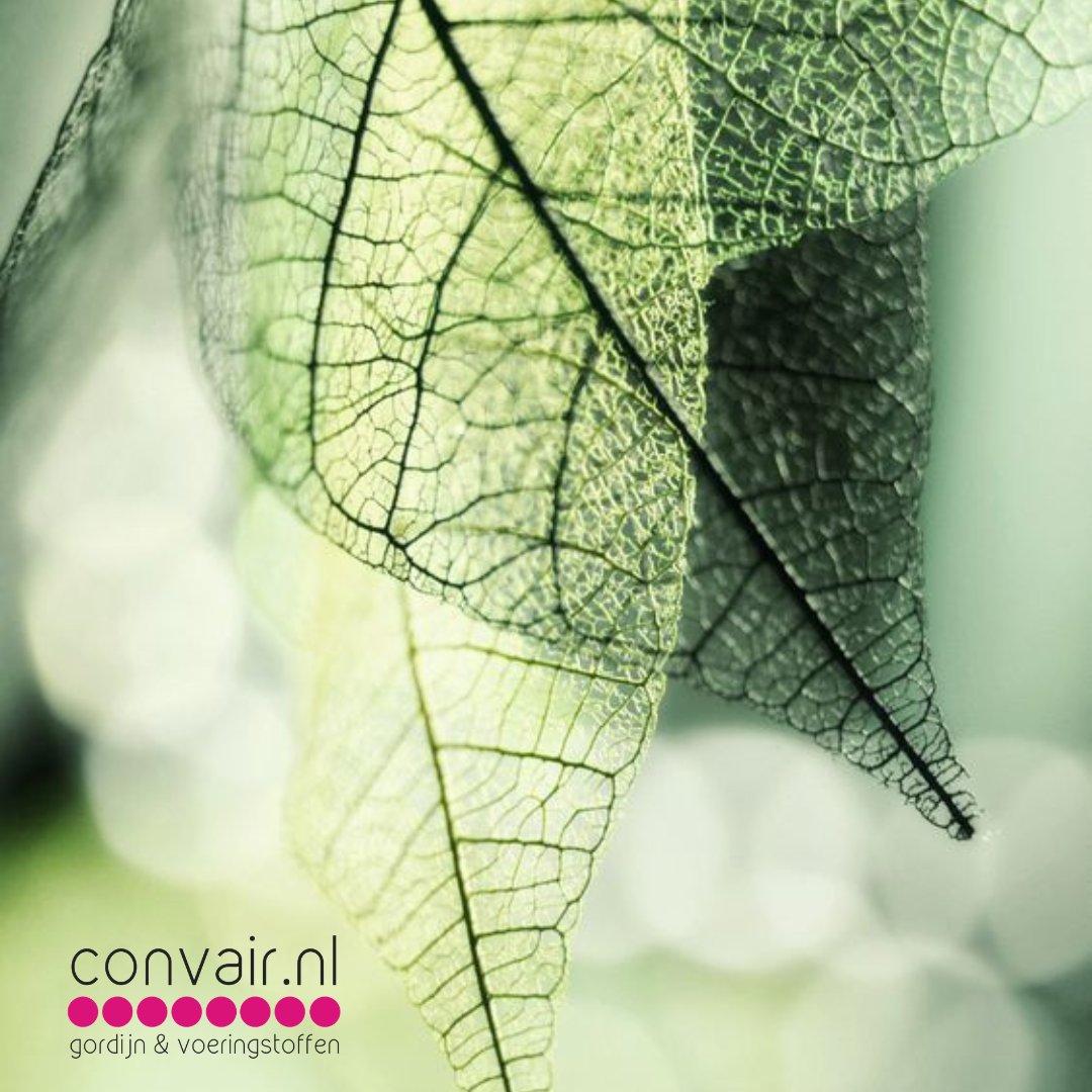ConvairBV's tweet photo. 𝕀 𝕃𝕆𝕍𝔼 𝔾ℝ𝔼𝔼ℕ 💚

Groen heeft een rustgevende, positieve, natuurlijke en gezonde uitstraling. Het zorgt voor een fijne sfeer in huis!

https://t.co/wQ1Oj1Hbwc

#groen #groenwonen #groeninterieur #groenegordijnen #groenestoffen #groeneinbetweens https://t.co/g4yYJSZgnS