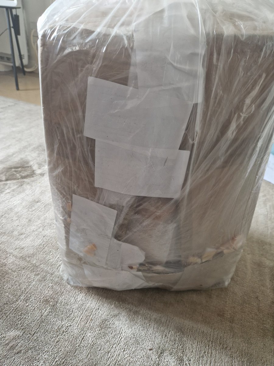 Veronica McKenzie tweet media