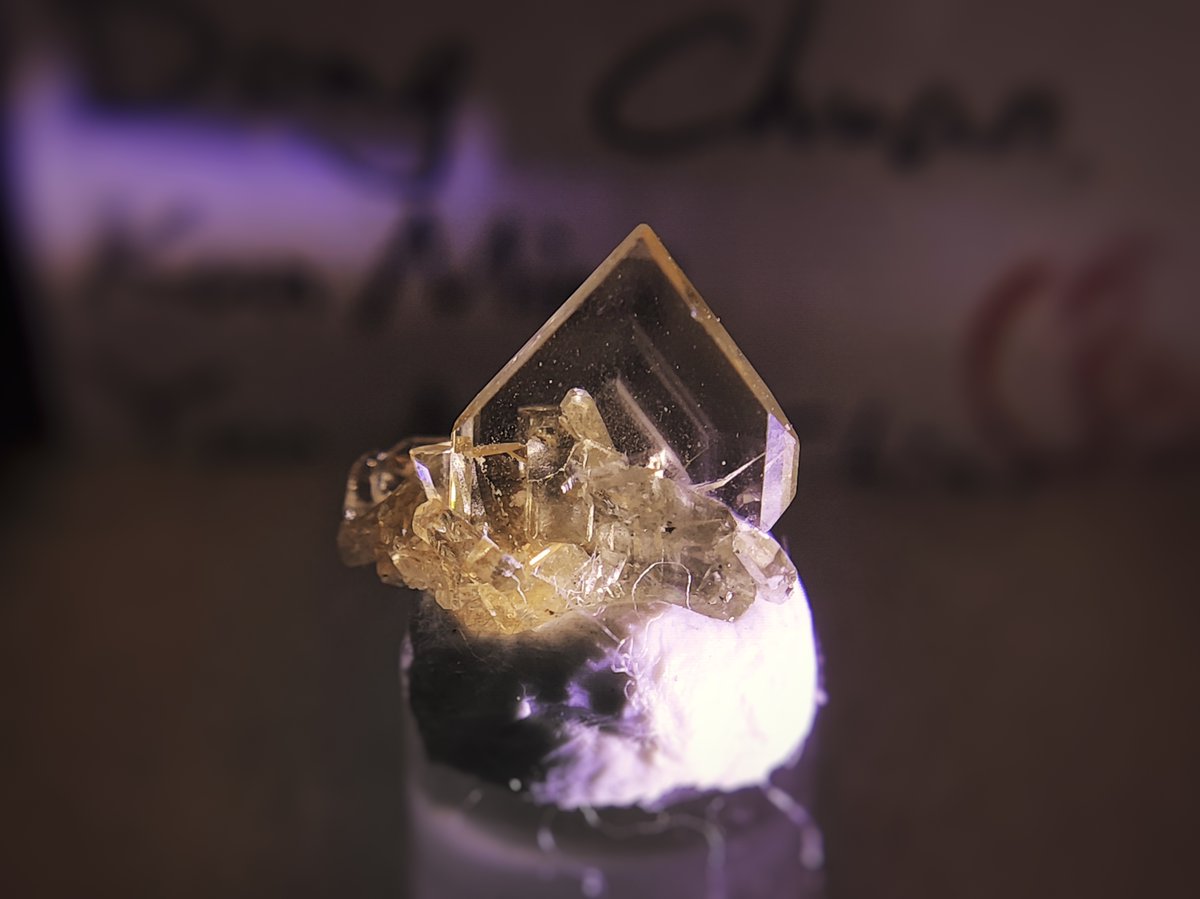 年味咖喱乌冬 (@nianshoufa) on Twitter photo 