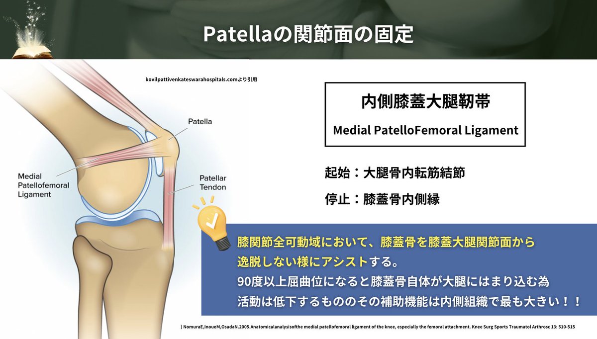 realize_lab's tweet photo. 🚩超重要な膝蓋大腿関節（PF Jt）

これはかなりわかりやすい！
そして動画が綺麗すぎる...

脛骨大腿関節の動きは良く動画で見るけど膝蓋大腿関節も忠実に再現されているのが凄すぎる...

膝蓋骨は各方向に図内記載の筋含む軟部組織が牽引しあうことにより適��性を増す！

特に内側はMPFLが超重要✨ https://t.co/DGyieqmtmw