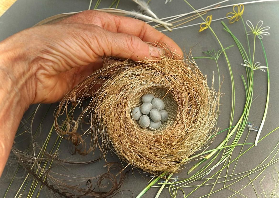 North York Moors Trust tweet media