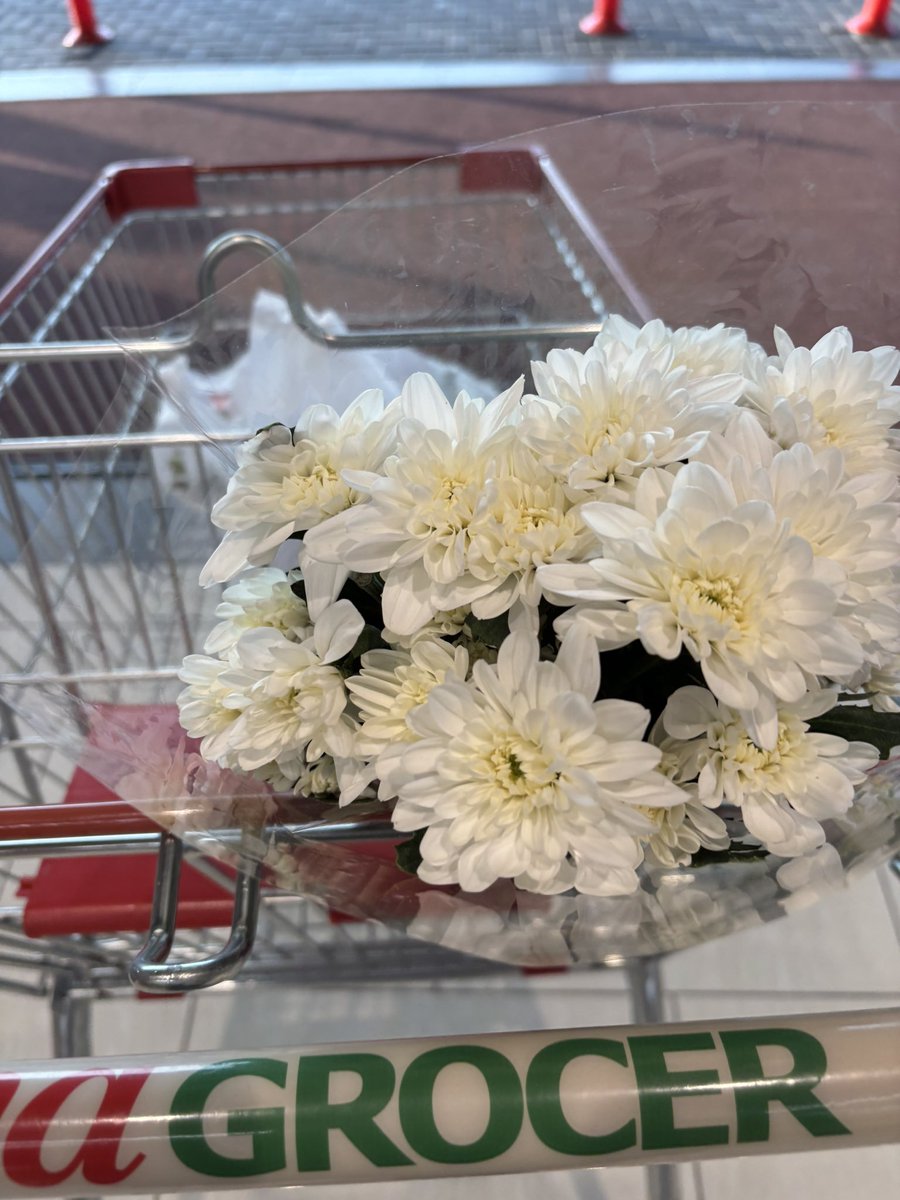 TheAleem's tweet photo. Cara mudah aku randomly gembirakan isteri. Beli bunga segar di Jaya Grocer lepas tu tolong letak dalam pasu.

Setel. Kos bawah RM10 je. https://t.co/fK9pvQdUi2