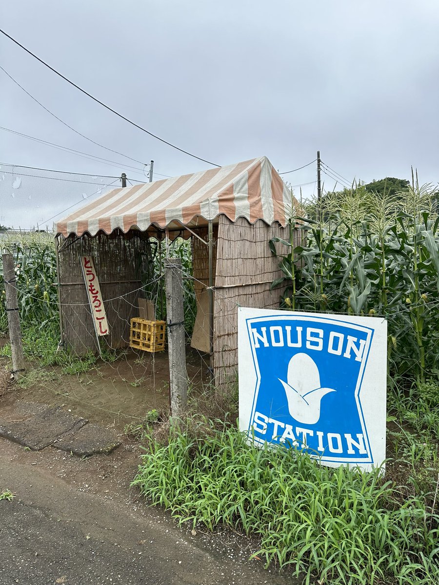 田舎者さま ノウソン…（農村）だと？😂