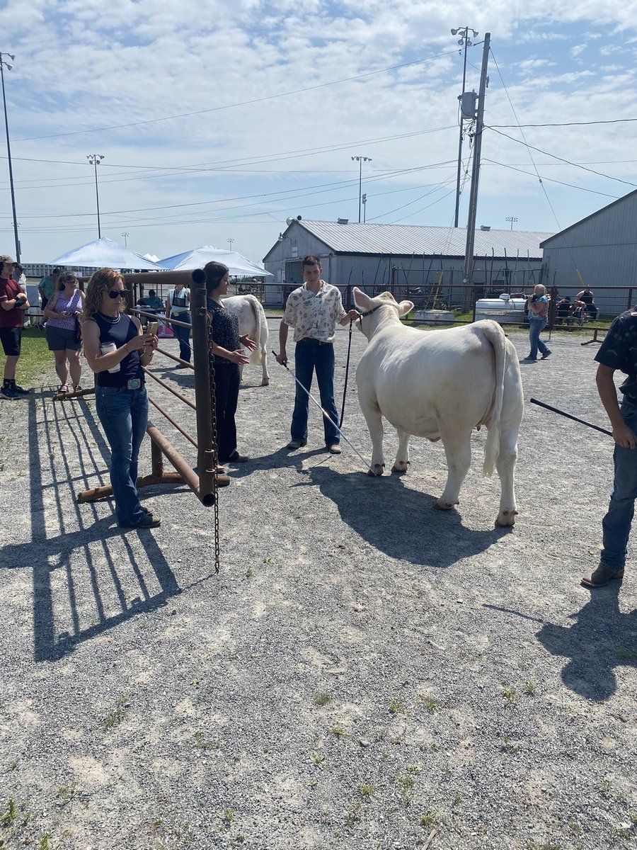 Just a few pics from the Kawartha Downs Junior Beef Show yesterday.  Thanks to the organizers! Fun to be showing around the corner from the farm! Thanks Southview for sharing Miss Prairie Cove 320L with Tyler!
Grandma Hall picked the right show to go to!