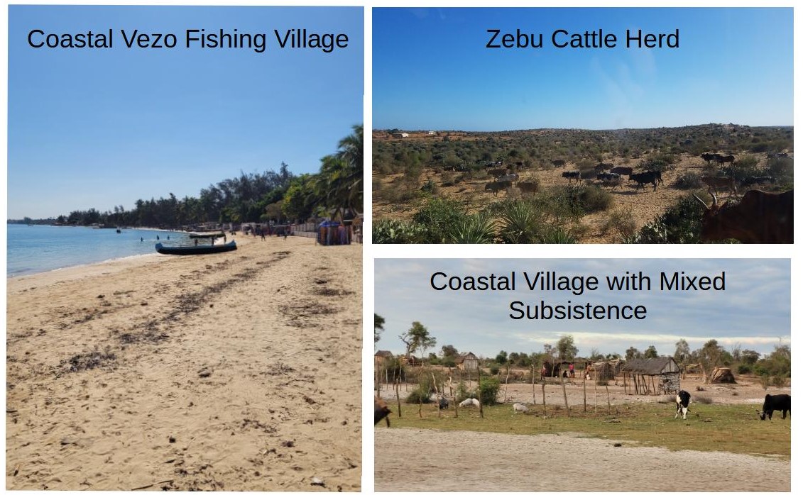 Dylan Davis (@ddavis_arch) on Twitter photo Just published in JAA (<a href="/ElsevierArchaeo/">Elsevier Archaeology</a>), we use satellites to investigate how subsistence strategies influence the long-term stability and resilience of ecological systems on Madagascar! <a href="/OBTlab/">Olo Be Taloha Lab</a> <a href="/columbiaclimate/">Columbia Climate School</a> <a href="/LamontEarth/">LDEO</a> doi.org/10.1016/j.jaa.… 🧵 1/7 Just published in JAA (<a href="/ElsevierArchaeo/">Elsevier Archaeology</a>), we use satellites to investigate how subsistence strategies influence the long-term stability and resilience of ecological systems on Madagascar! <a href="/OBTlab/">Olo Be Taloha Lab</a> <a href="/columbiaclimate/">Columbia Climate School</a> <a href="/LamontEarth/">LDEO</a> doi.org/10.1016/j.jaa.… 🧵 1/7
