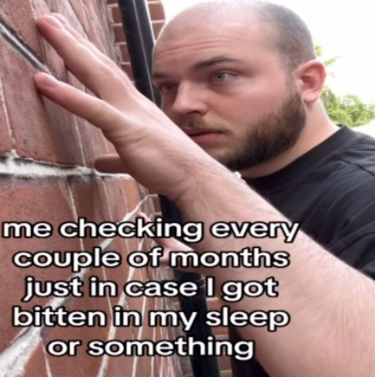 Wild Posts tweet media