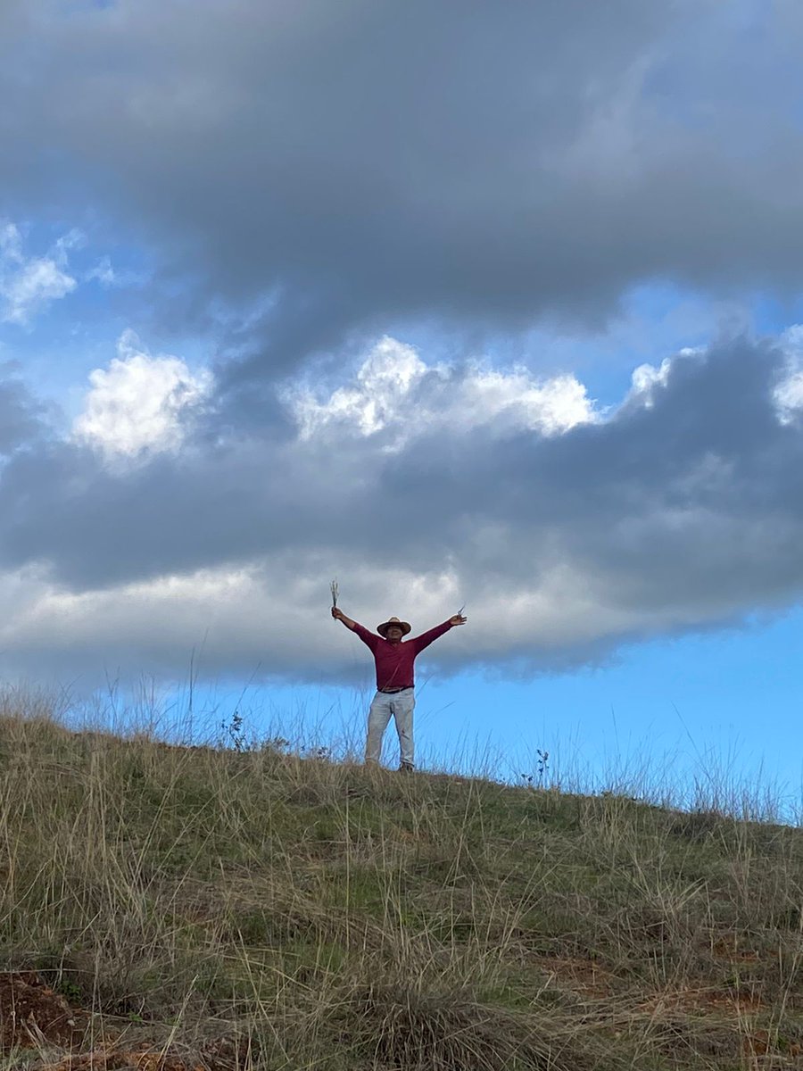 🚴 🅿️e🅿️e #️⃣Bicinauta tweet media