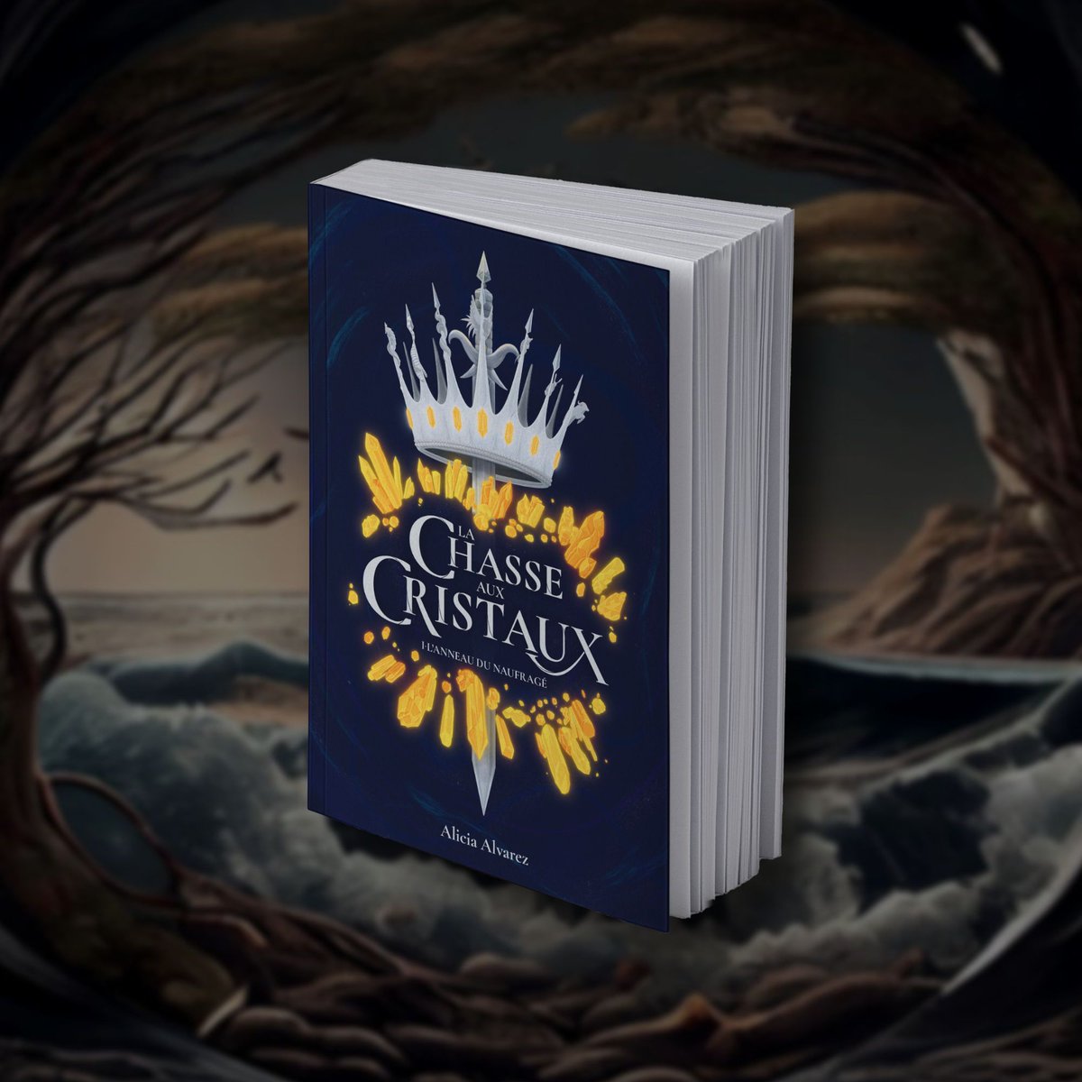 AliRosalys's tweet photo. C'est officiel : les précommandes de La Chasse aux Cristaux, tome 1 - L'anneau du naufragé sont OUVERTES ! 💎🦀 

Toutes les infos sur la boutique sumup store. 🫶 https://t.co/NijhmWkeQM

Et n'hésitez pas à soutenir ce projet en likant, commentant, retweetant... 👑 https://t.co/WkfDNNLI3H