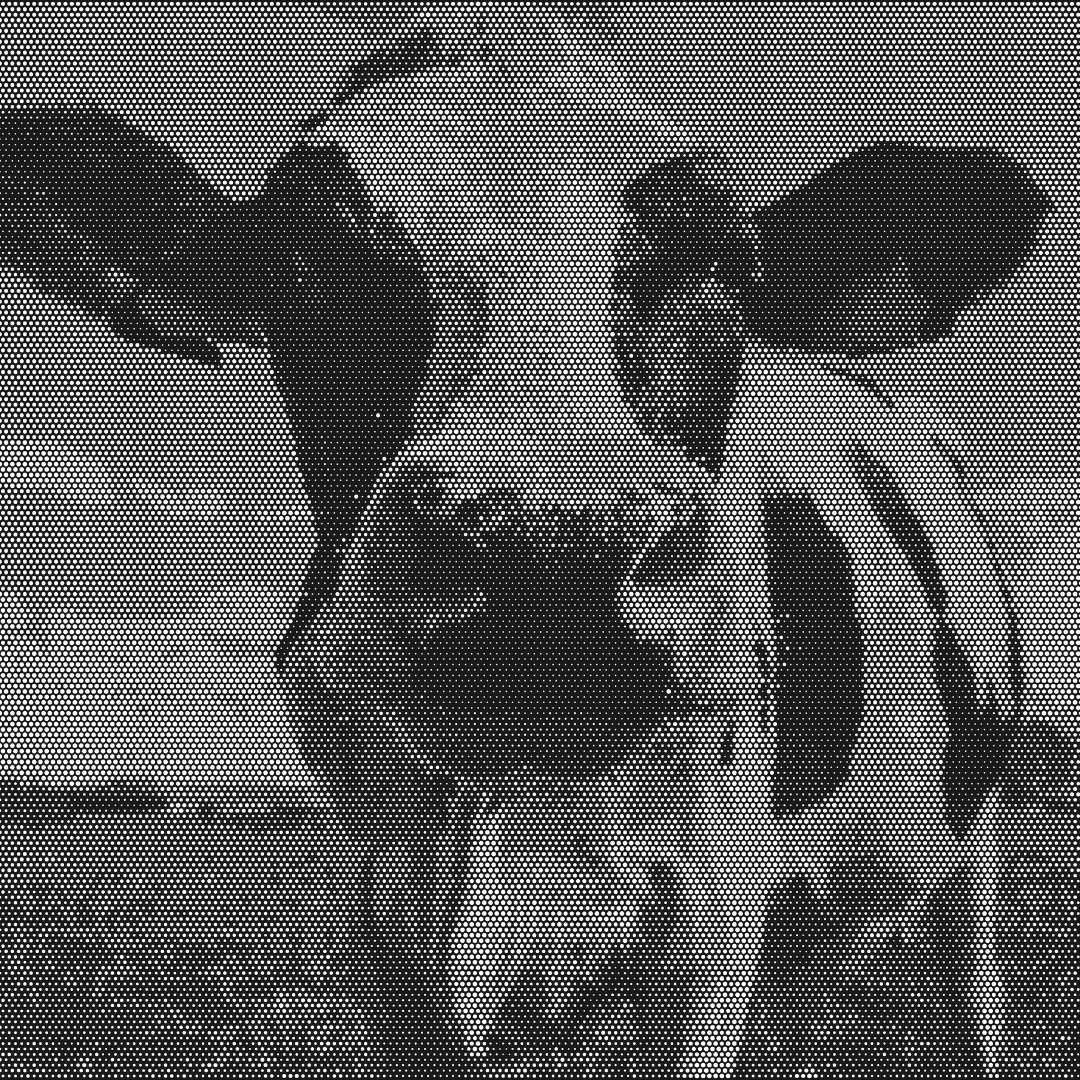 Graepels's tweet photo. Graepels Picture Perf is a creative, one-of-a-kind solution. It's time to 'moo-ve' beyond the ordinary with #pictureperf. Do you want to explore a design? Email us on sales@graepels.com or better yet give us a call! #Graepels #EngineeredMetal https://t.co/N7DNiUe1wT