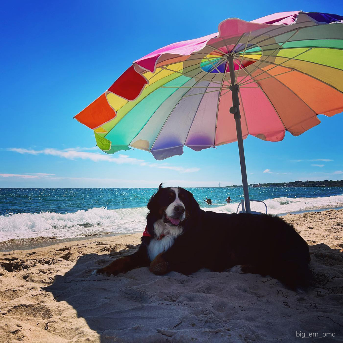 Summer beckons with sunshine and serenity on Block Island's idyllic shores. Whether you're craving relaxation or seeking fun times, this island paradise has something for everyone.

#SummerGetaway #BlockIslandBound #BIF #BlockIsland #SailAway #BlockIslandFerry