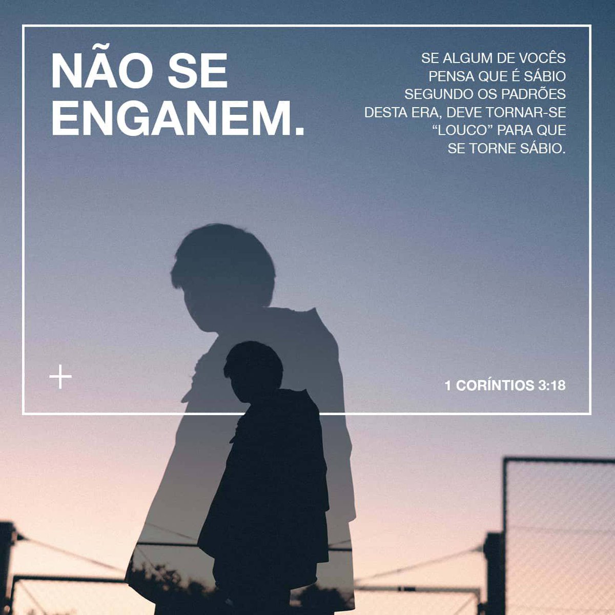 Silas Câmara tweet media