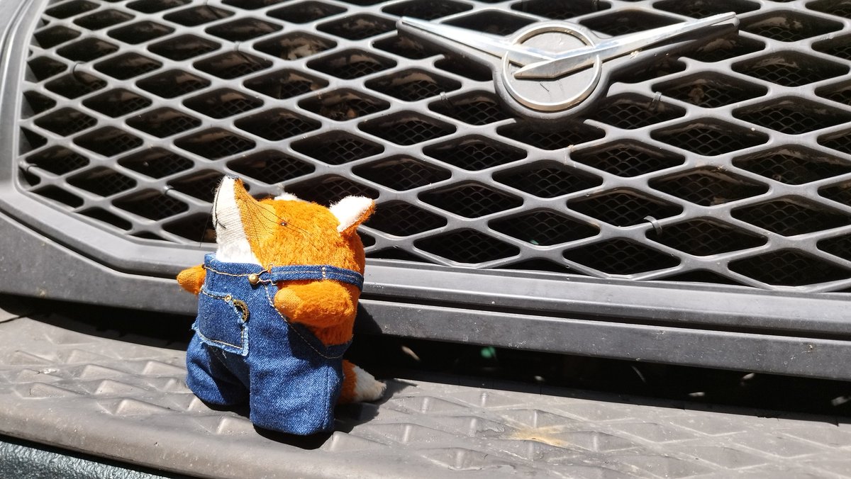 Юлия Рябова tweet media