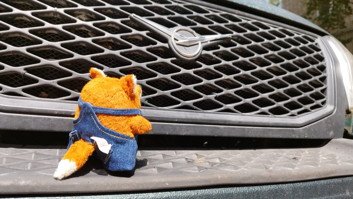 Юлия Рябова tweet media