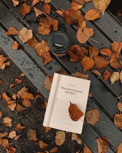 thespookygirll's tweet photo. 108 more days till halloween ☕️🍂 https://t.co/wY4Oi42nDk