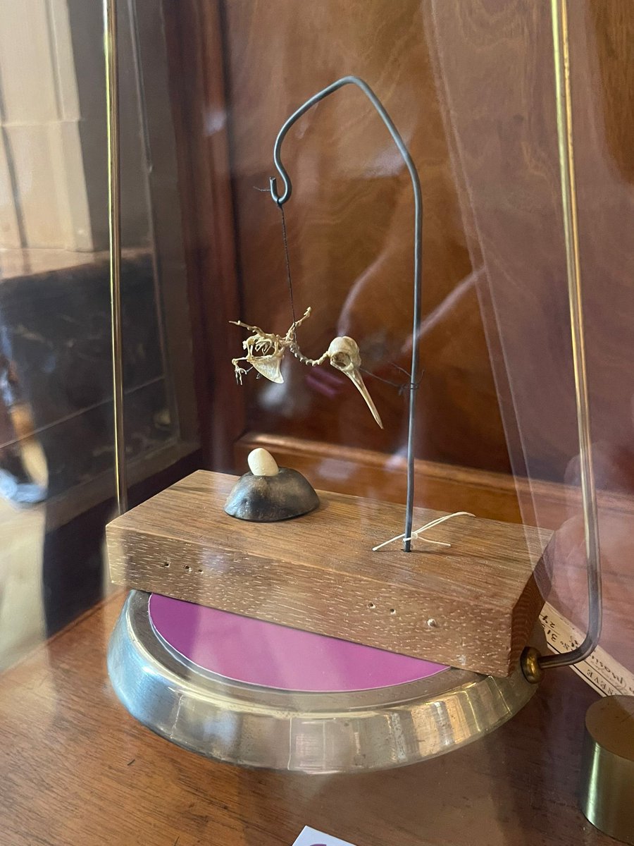 So much to see and do.  Great interactive museum.   The tubes fill up with different gases and go different colours when electricity is run through them 
 #enrichment week