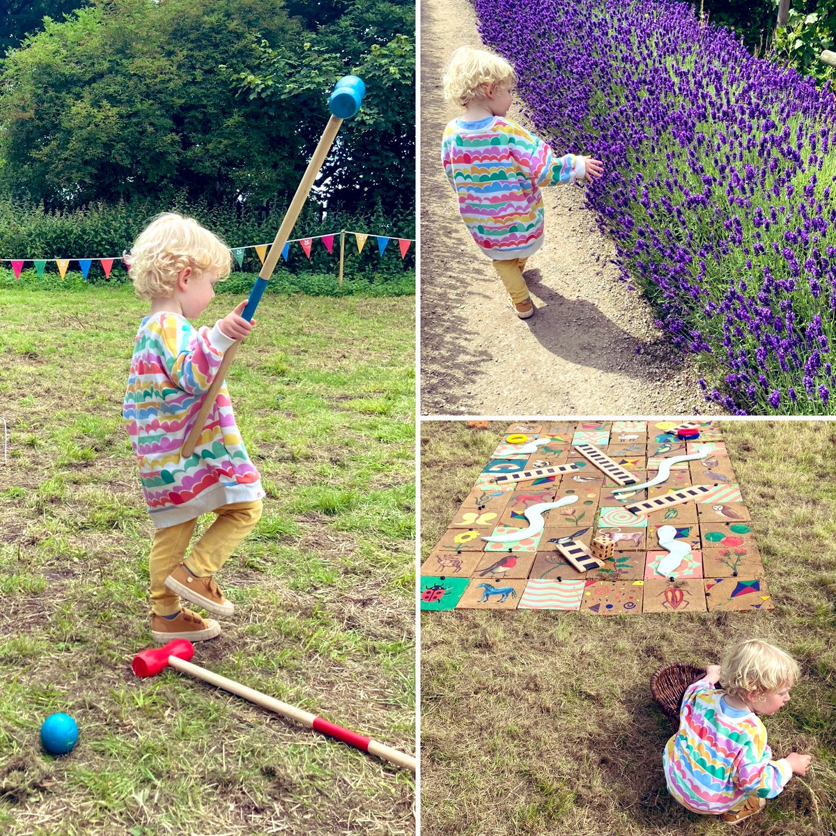 Dr Alix Blockley tweet media