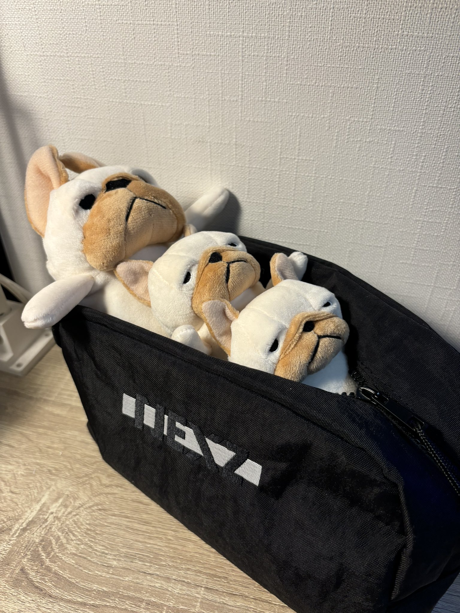 ハルちゃんさまリクエスト2点おまとめ 歌枠】重大告知2つあります。よろしくお願いします。【風真