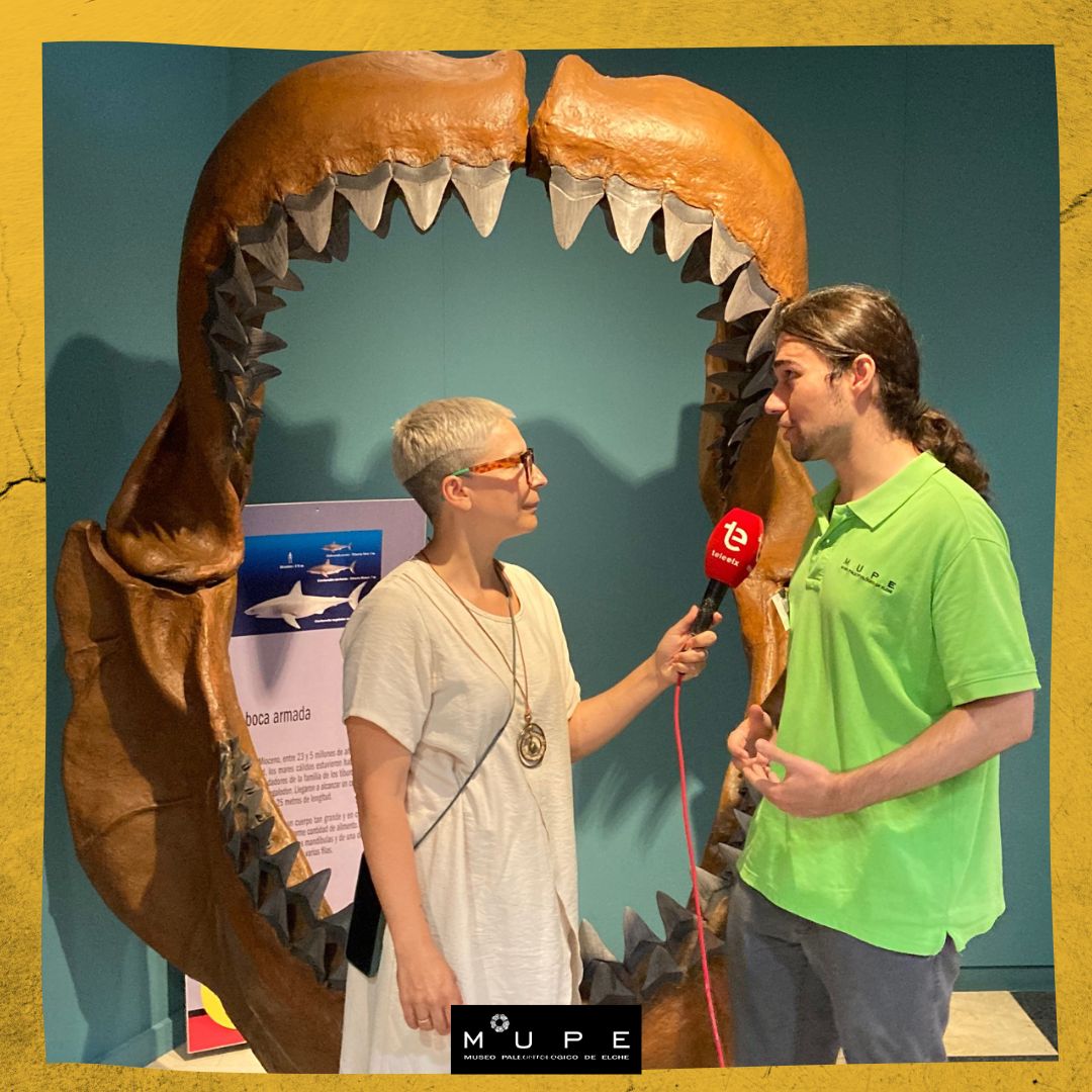 mupe_elche's tweet photo. Los lunes el @mupe_elche está cerrado al público pero los trabajos en su interior no paran. Hoy, además, hemos tenido una visita muy especial. ¿Qué estarán preparando desde #Elabanico de @TeleElx?
#museosdeElche https://t.co/et5H5rMOH8