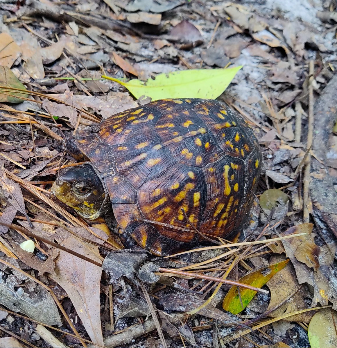 Jeff VanderMeer tweet media