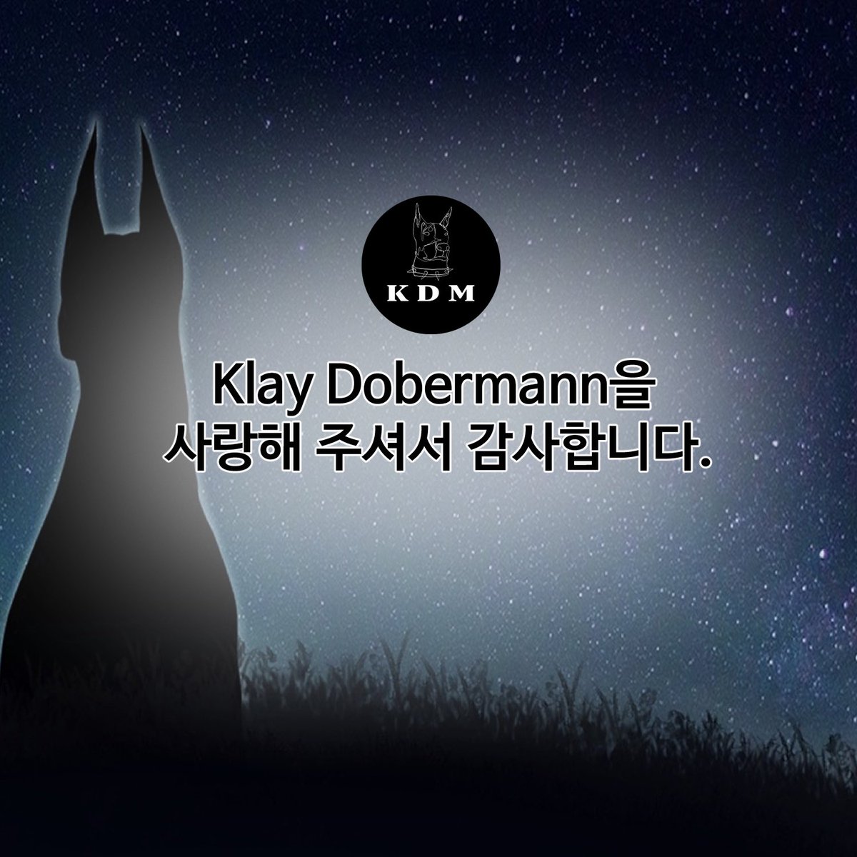 KlayDobermann tweet media