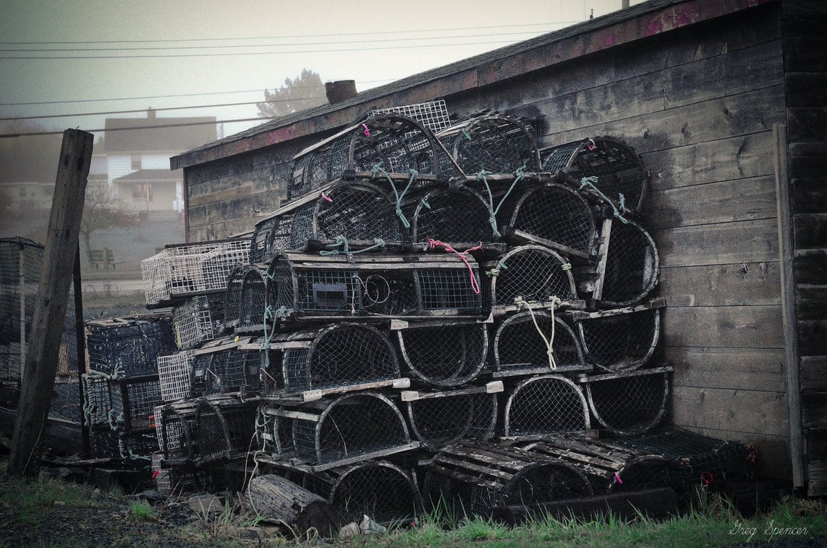 SpellCasterOne's tweet image. Photo of the day.
Eastern Passage Nova Scotia