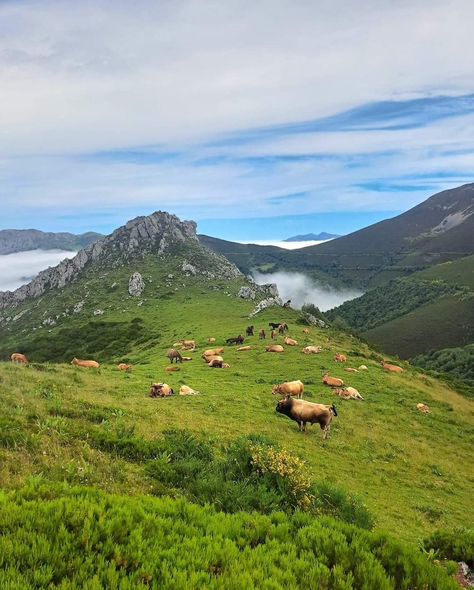 El puertu Ventana ye un pasu de montaña que comunica les tierres asturianes del conceyu Teberga coles tierres llioneses de Santumichanu (Babia). 

📷: Caleyando por Asturies
