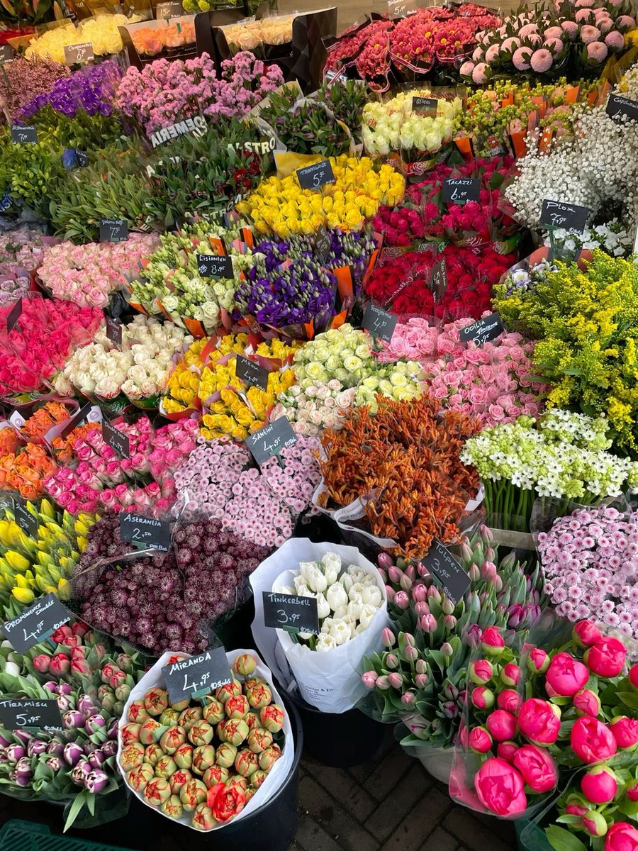 i3Moment's tweet photo. Flowers https://t.co/BCmdNiqggt