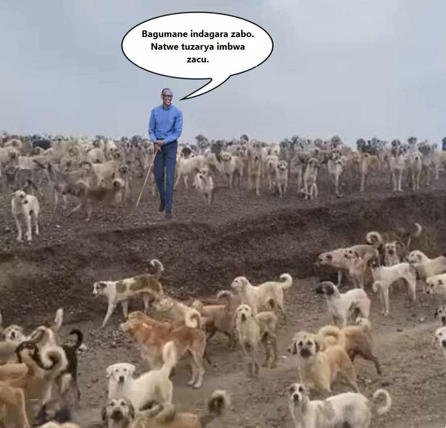 <a href="/allenkab33/">Apotre Kabey</a> <a href="/PaulKagame/">Paul Kagame</a> <a href="/N021019/">J.I.F.E 💉 SightSeer / Rumenerangabo</a> 🤡#Bihehe #Pumbafu Criminal <a href="/PaulKagame/">Paul Kagame</a> burya ngo  afite n,imbwa nyinshi. Ubwo wowe na mugenzi wawe yasanze muri mubakwiye kugabirwa 🐕.  Ejo muzajye kuzifata muri  <a href="/UrugwiroVillage/">Presidency | Rwanda</a>,  namwe mujye mumwirahira ko yabagabiye 🐕😉.
#TeamPK #Ibifobagane