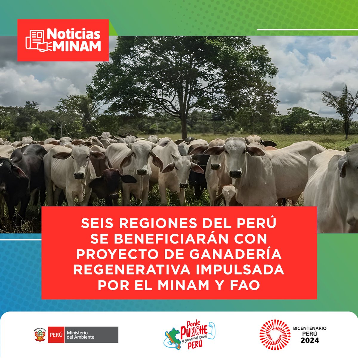 MinamPeru's tweet photo. 📢 #NotasMINAM | Proyecto impactará positivamente en 20 000 productores agropecuarios, aproximadamente, de #Apurímac, #Cajamarca, #Cusco, #Lambayeque, #Piura y #Puno. 📲 Leer más ➡️ https://t.co/DTdCODKcdK  #MINAM | #ambiente | #planeta | https://t.co/vYcjRhh55j