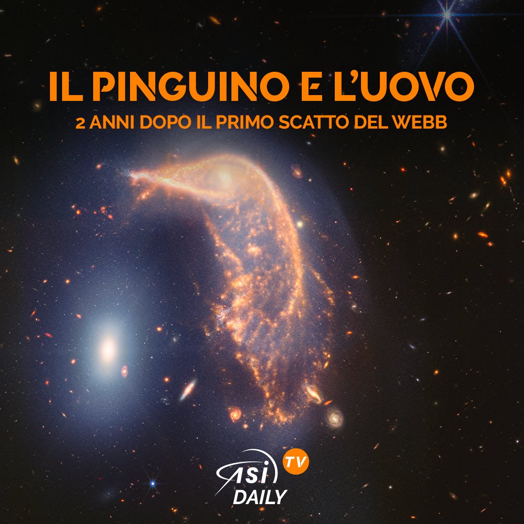 ASI_spazio's tweet photo. 🤩 Nuova immagine del #Webb per festeggiare i 2 anni dalla prima foto
📸 Il telescopio spaziale  ha fotografato #Arp 142, coppia di #galassie chiamate 🐧Pinguino e 🥚Uovo 
▶️ Scopri di più nel video di #AsiTv: https://t.co/fIL7S7Ara3
🎧 O ascolta l'audio: https://t.co/S9Etw0vB3C https://t.co/R33Qresxe4