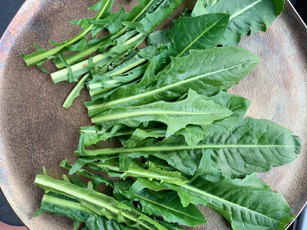ChiefHerbalist tweet media