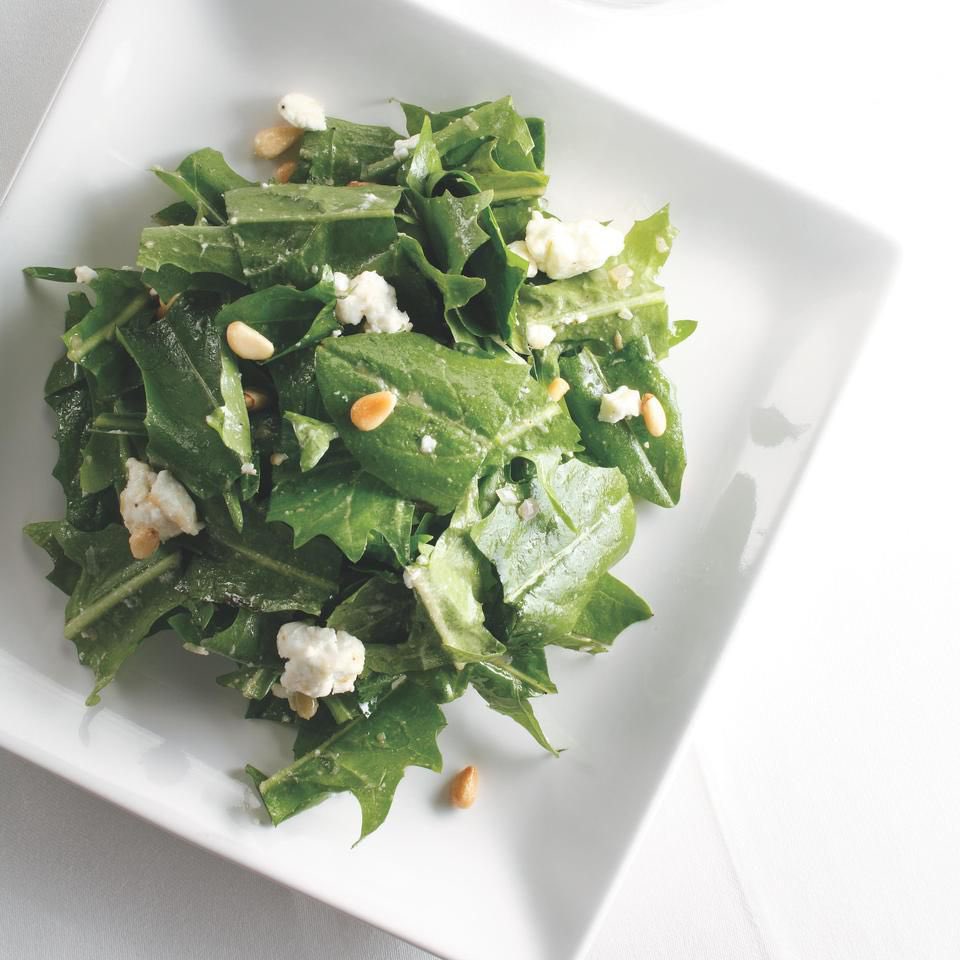 Dandelion is one of the best plants one can use to cure 

🌿Rheumatism, 
🌿Arthritis or 
🌿Inflamed joint. 

Use young dandelion leaves as salads on your food for 1-2 weeks. The person will be healed completely. 

Nature heals.
