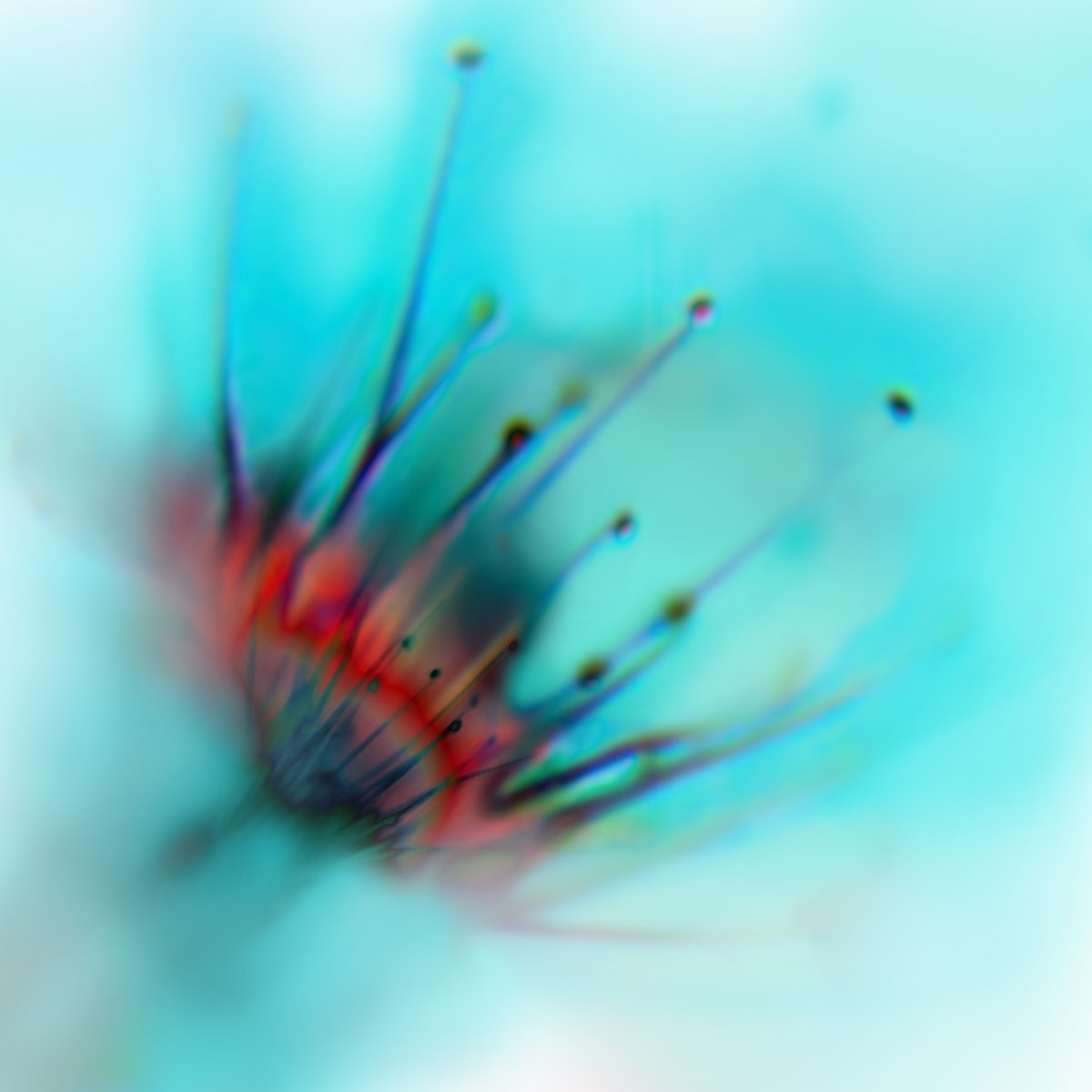 'HOMESPUN' from <a href="/RyanTeagueMusic/">Ryan Teague</a> is out today on the new compilation from <a href="/bigoandtwigetti/">Bigoandtwigetti</a> 

"Homespun came about following a move out of the city &amp; the purchase of a new piano... It was the first solo piece I composed in this environment &amp; captures a sense of peace &amp; wonder."