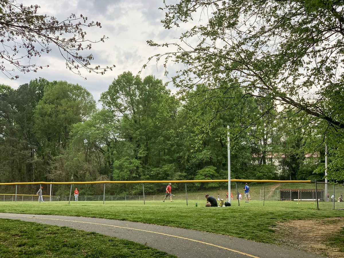 CarrboroRecPark's tweet photo. Carrboro parks are ‘Where You Belong,’ and they are home to many flora and fauna that provide the foundation for a healthy ecosystem. 

WILSON PARK at 101 Williams St.
🌳 https://t.co/pARVUOBMkB 

#WhereYouBelong #ParkandRecMonth24 https://t.co/0CIyACu3Dq