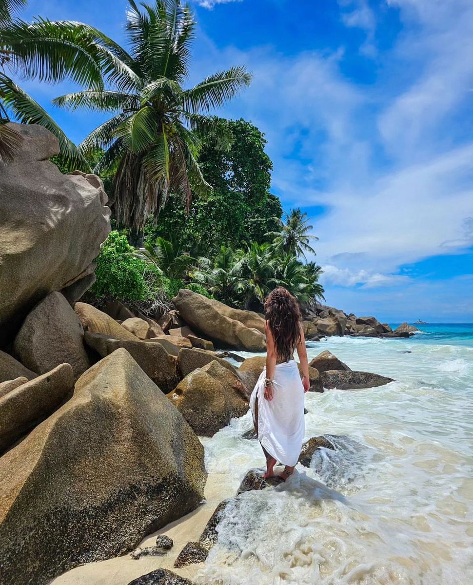 tripdocom's tweet photo. 🇸🇨 Seychelles is a paradise with deep blue waters teeming with sea life & gorgeous, unspoiled shores. But this island is more than just a pretty face.

Seychelles was once a pirate hideout, in particular Anse Forbans (Pirate’s Cove) on Mahé and Côte d’Or on Praslin. It is believed that famous pirate Olivier Levasseur hid a treasure worth more than $160,000 that remains unfound.

Victoria, the capital of the Seychelles, is the smallest in the world and can be easily explored on foot in less than a day.
*
*
https://t.co/lq0y2m0X4W 
ImaGe by @ foxi_sunshine 
*
#seychelles #mahe #victoria #ansegeorgette #indianocean #island #beautiful #beach #beachbody #padling #surfing #surfboard #instagram #instagood #instatravel #instalike #travel #trip #tripdo #picoftheday #photooftheday #photography #ladigue #photographer #picture #watercolortattoo #summer #vacation #instatripdo
