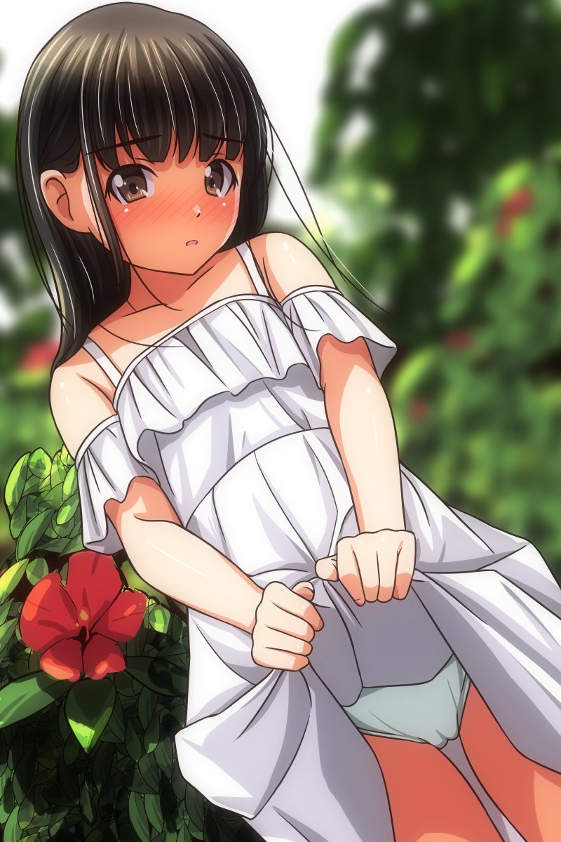 今日の一枚4058 (1:30+0:30+0:50) 