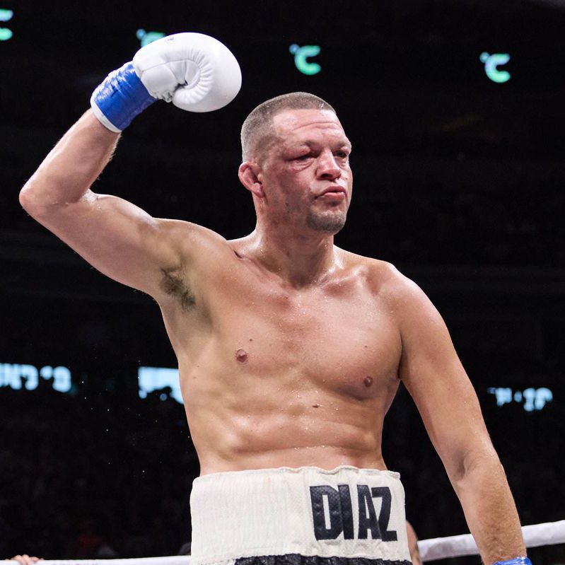 MMA Orbit tweet media